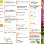 eventi valletrompia agosto e settembre 2012