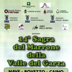 Marronata in piazza