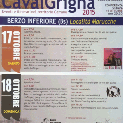 Cavalgrigna a Berzo Inferiore