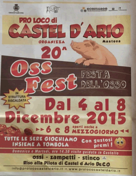 20 Oss Fest a Castel d'Ario MN