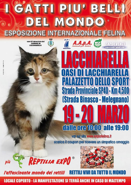 I Gatti più Belli del Mondo e Reptilia Expo a Lacchiarella MI