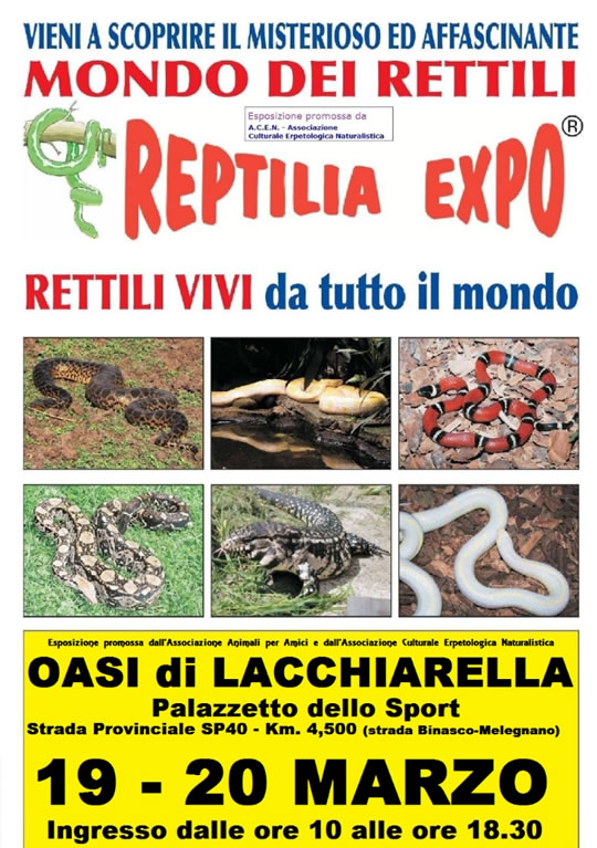 Reptilia Expo a Lecchiarella MI