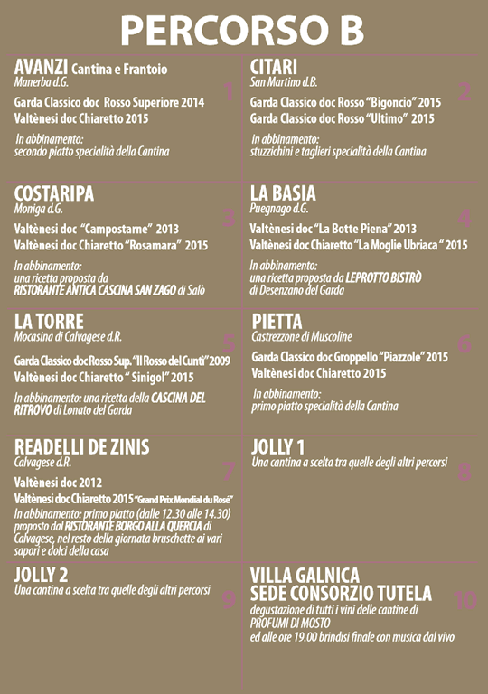 profumi-di-mosto-2016-valtenesi