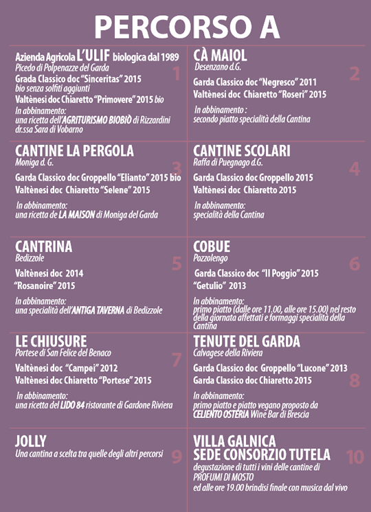 profumi-di-mosto-in-valtenesi-2016