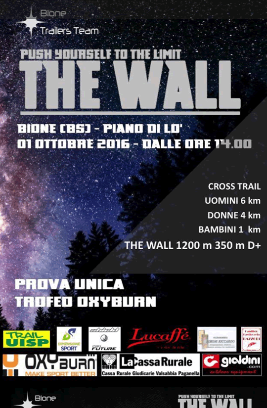 The Wall a Bione