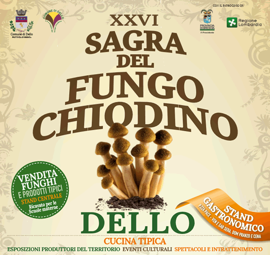 26 Sagra del Fungo Chiodino a Dello