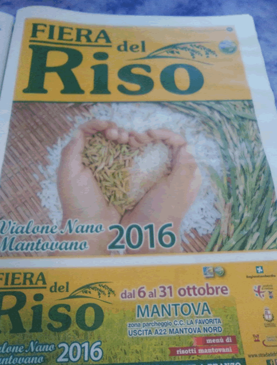 Fiera del Riso a Mantova