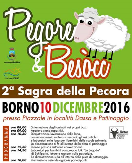 Pegore e Besòcc Sagra della Pecora a Borno