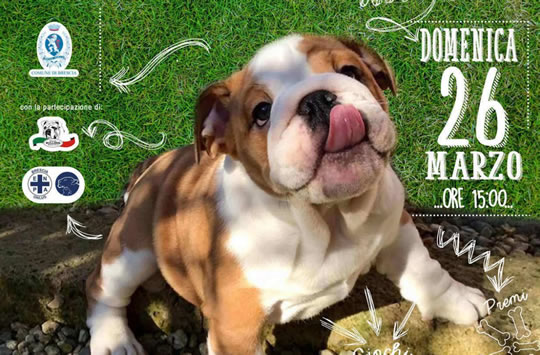 Bulldog Day a Brescia