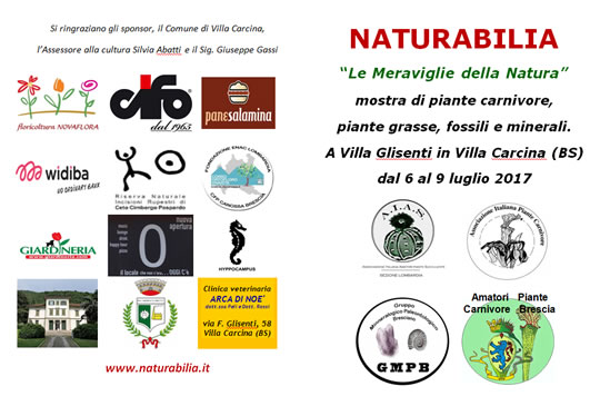 Naturabilia a Villa Carcina