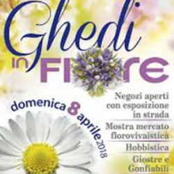 Ghedi in Fiore