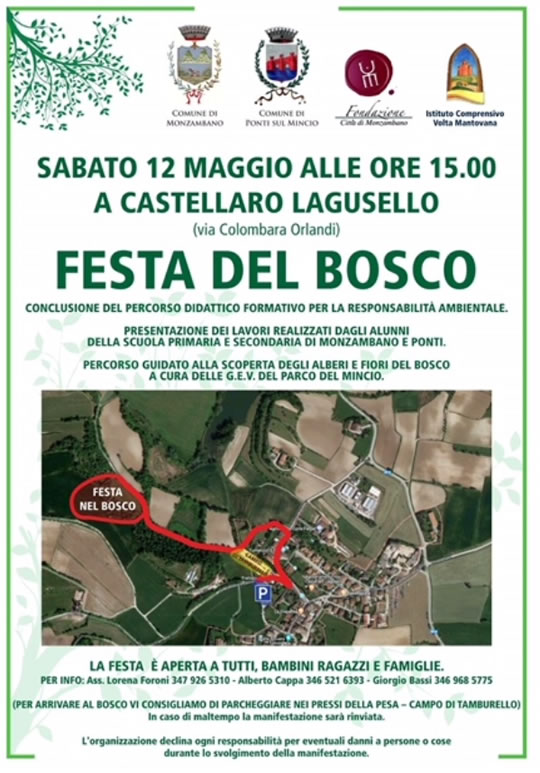 Festa Del Bosco A Castellaro Lagusello