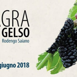 Sagra del Gelso di Rodengo Saiano