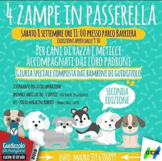 4 Zampe in Passerella a Guidizzolo