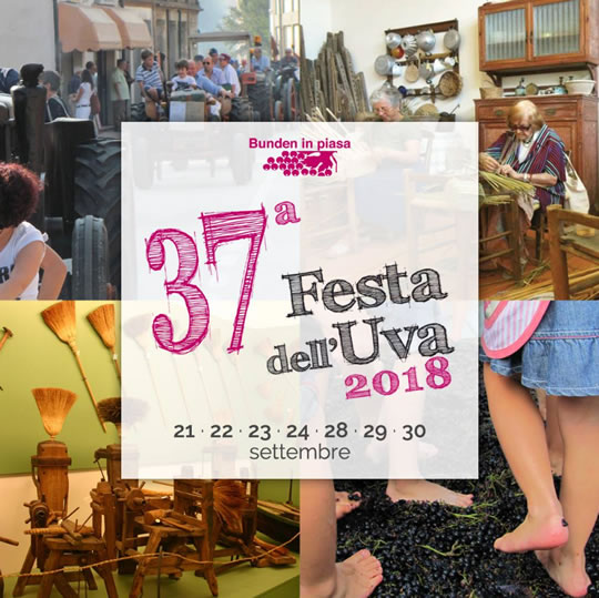 Festa dell'Uva a Gonzaga MN