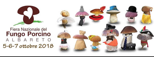 Fiera Nazionale del Fungo Porcino ad Albareto PR