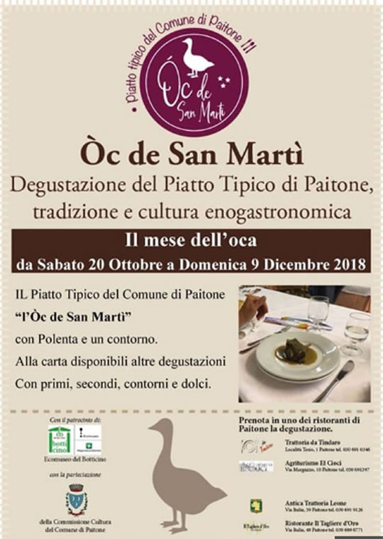 Oc de San Martì a Paitone
