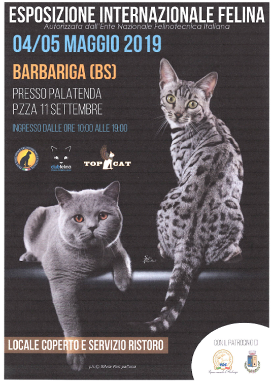 Esposizione Internazionale Felina a Barbariga