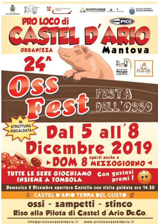 Oss Fest a Castel d'Ario MN