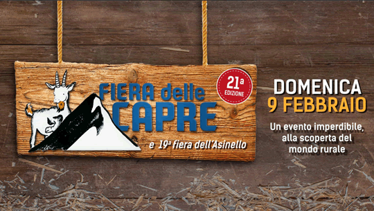 Fiera delle Capre di Ardesio BG
