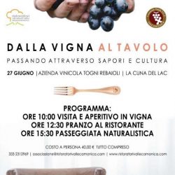 dalla vigna al tavolo