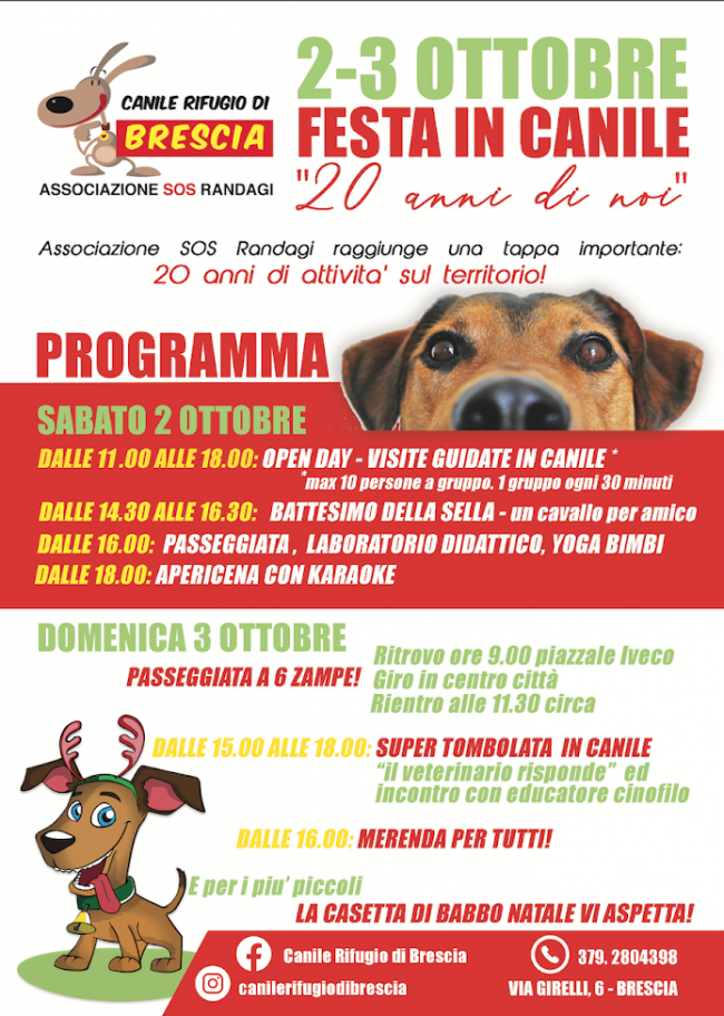 festa in canile