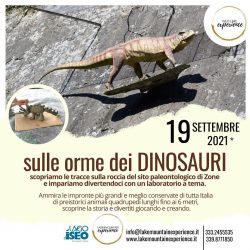 sulle orme dei dinosauri