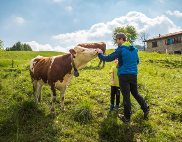 Adotta una mucca in ValVestino