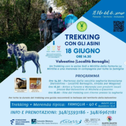 Trekking con gli asini