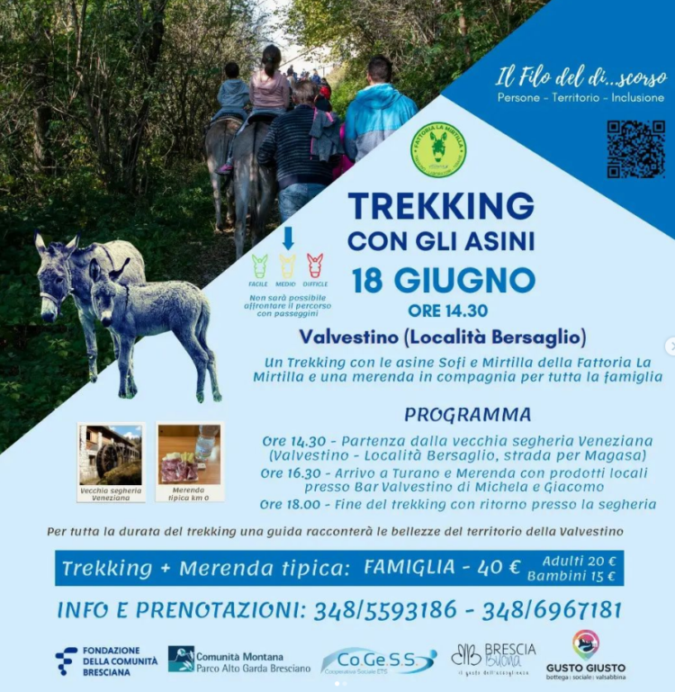 Trekking con gli asini