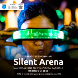 Silent arena - Orzinuovi