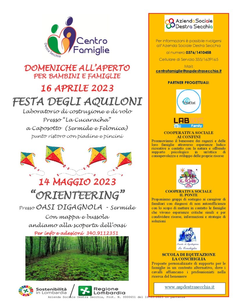 Festa degli aquiloni