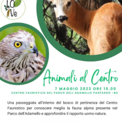 Animali al Centro - Paspardo