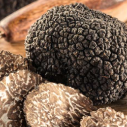 Sagra del Tartufo - Tignale