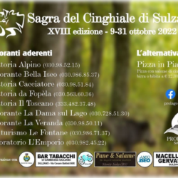 Sagra de cinghiale Sulzano