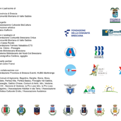 Eventi cult-cura Biu' festival - locandina