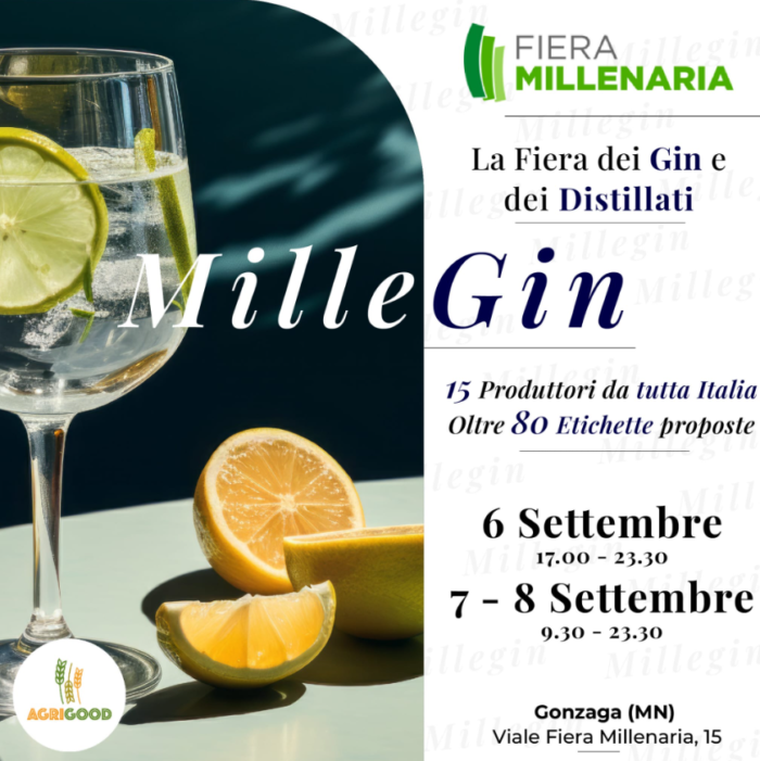 La fiera dei Gin e dei Distillati - Gonzaga