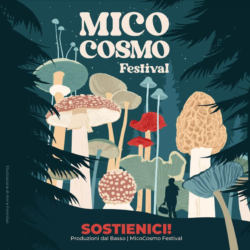 Micocosmo festival - Capo di ponte