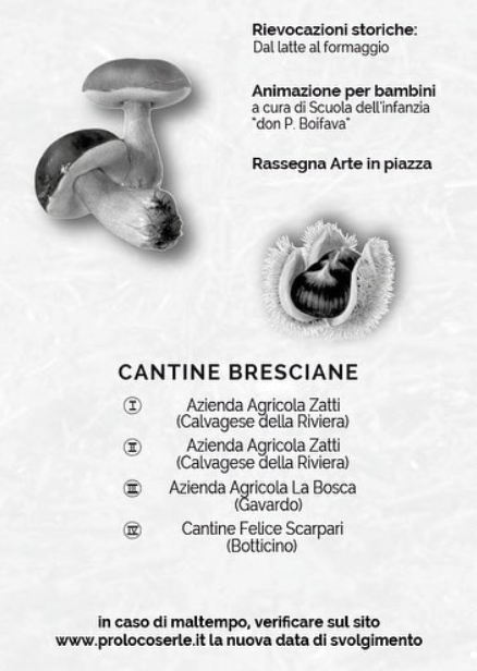 Brostoi e Formài - Serle - locandina