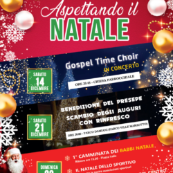 Aspettando Natale a Manerbio