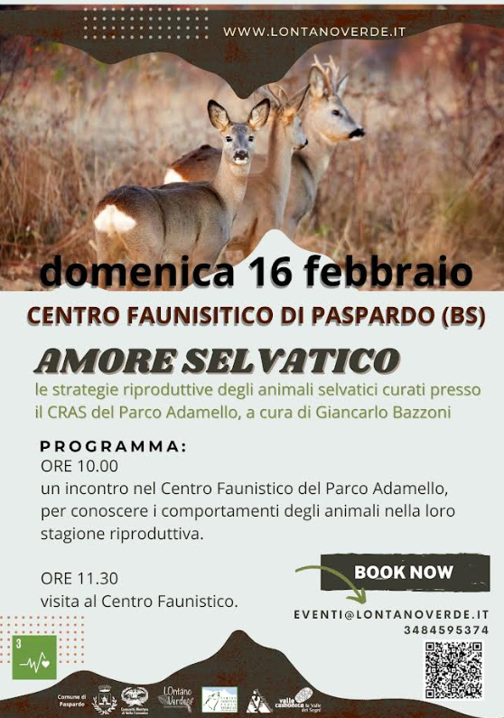 Amore selvatico - Paspardo