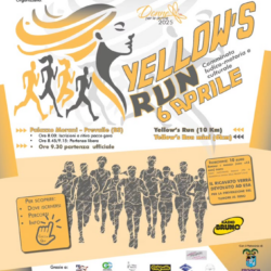 Yellow's Run