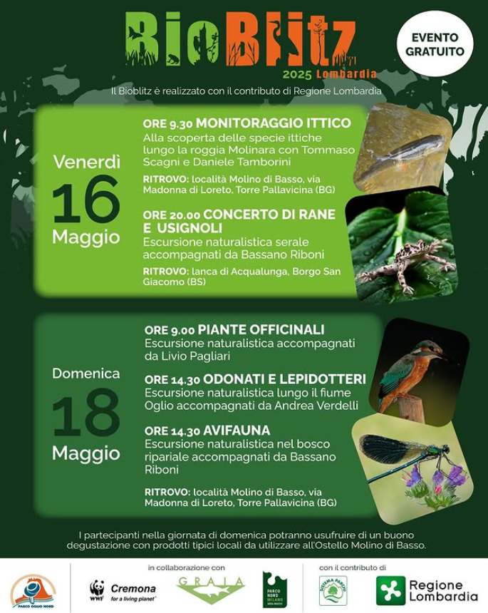 Bioblitz Lombardia al Parco Oglio Nord