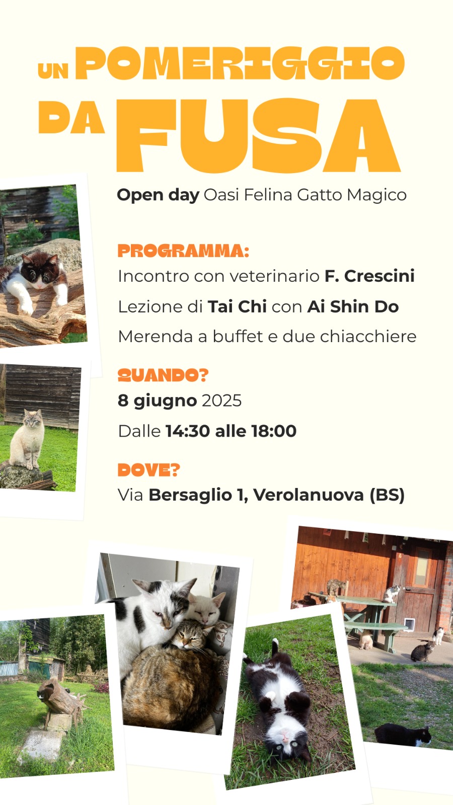 Locandina Un pomeriggio da fusa!