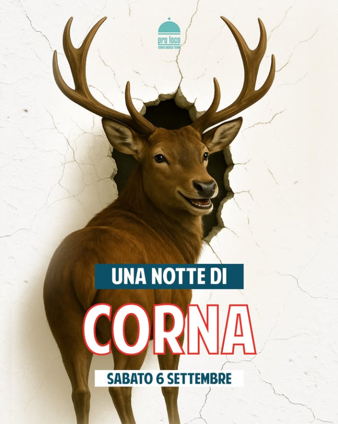 Locandina Notte di Corna