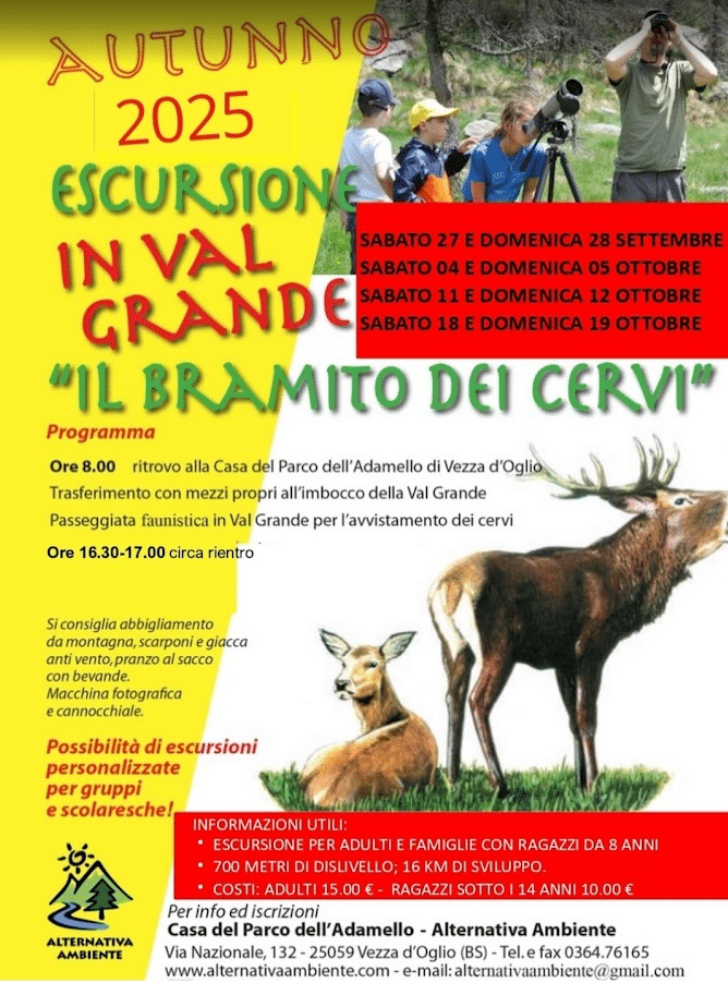 Locandina Il Bramato dei Cervi