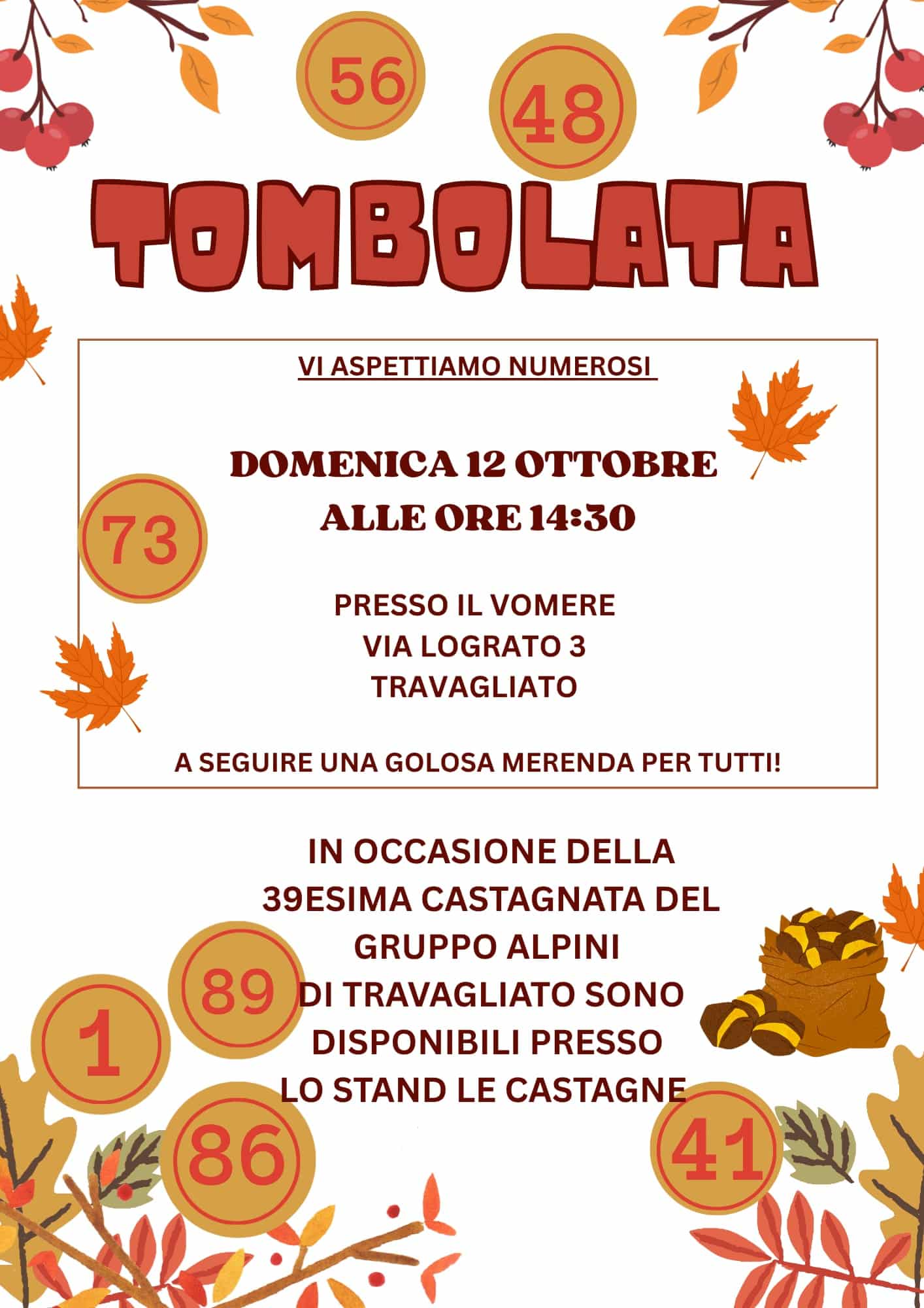 Locandina Tombolata al Vomere