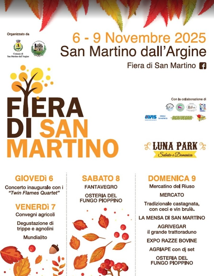Locandina Fiera di San Martino dell'Argine