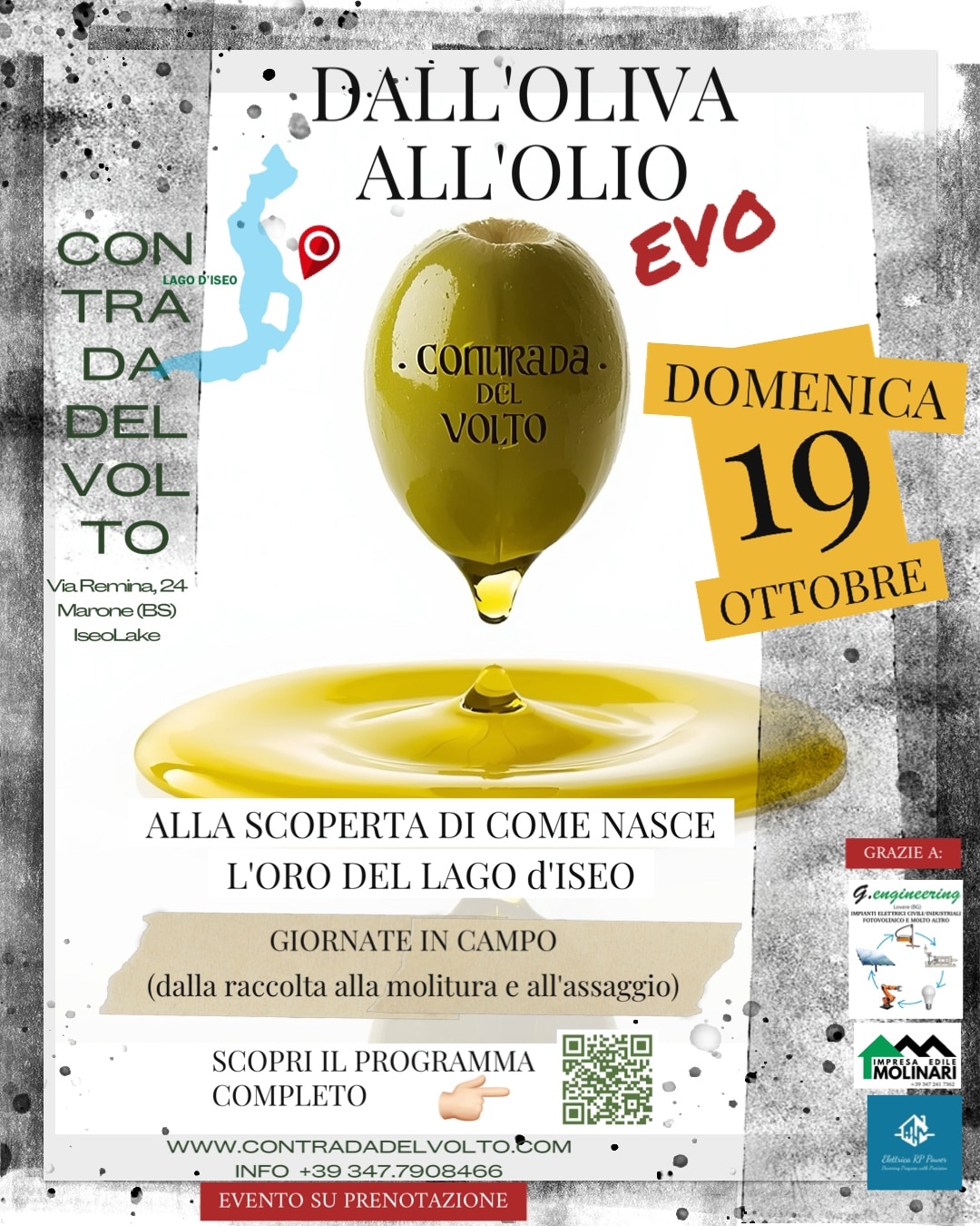 Locandina Dall’oliva all’olio (EVO)