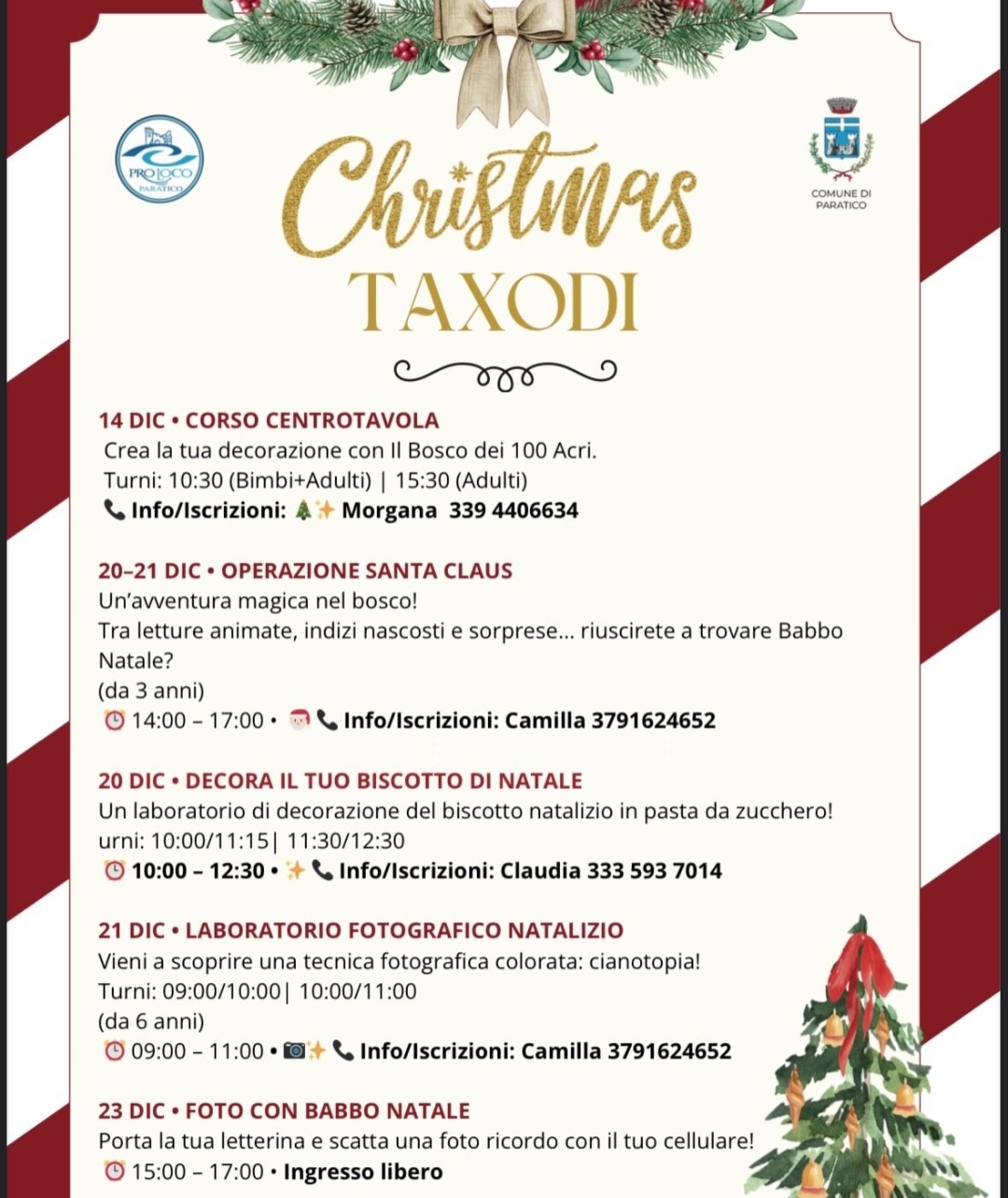 Locandina Christmas Taxodi a Paratico